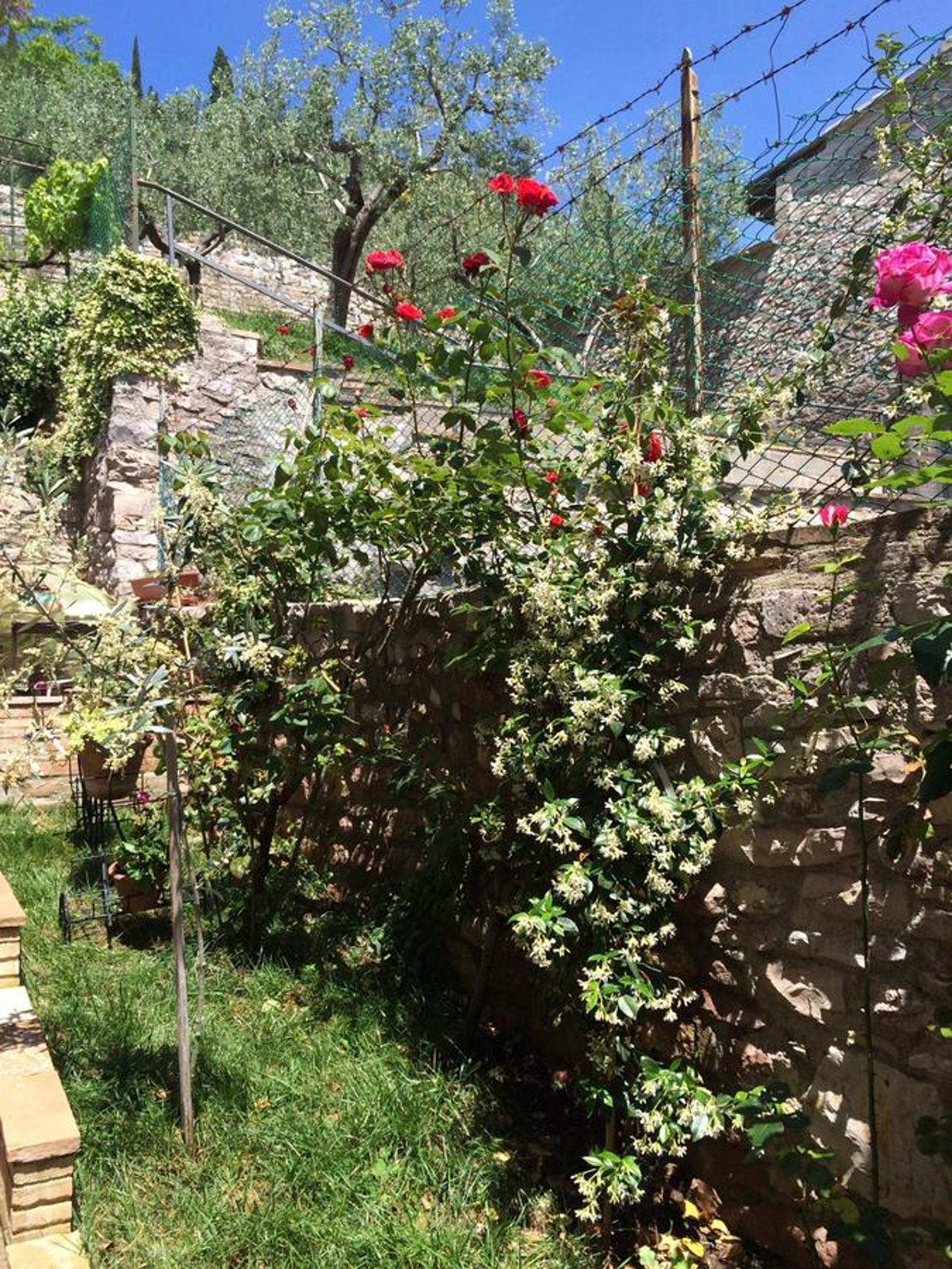 Apartments Aurora Delle Rose Assisi Phòng bức ảnh